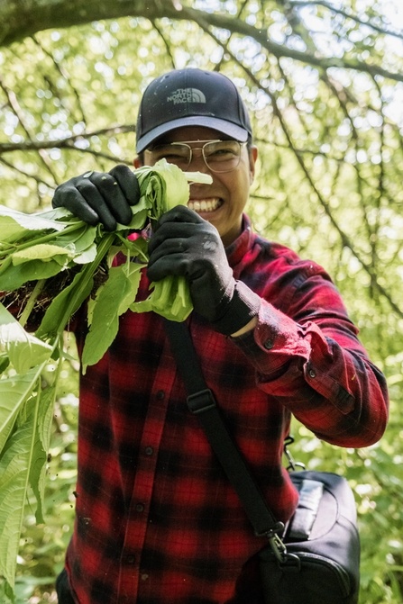 Francis pulling up Himalayan balsam