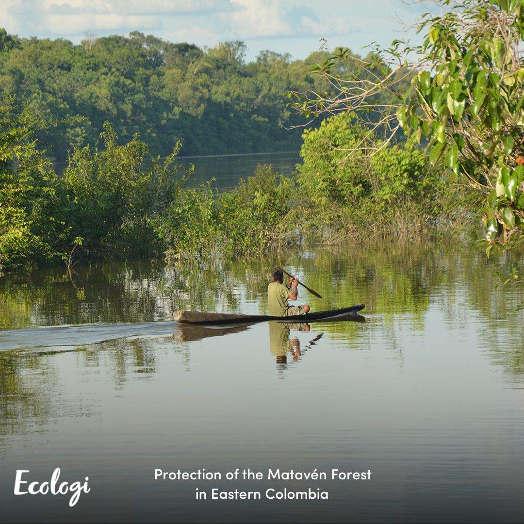 Protection of the Matavén Forest in Eastern Columbia