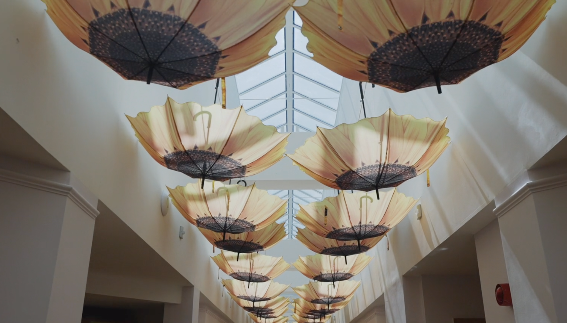 Mountbatten photograph 