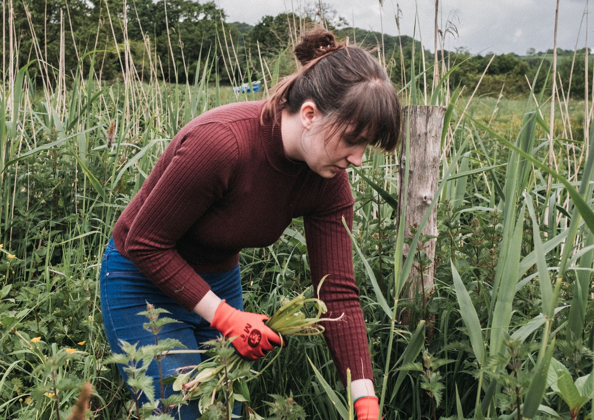 NOSY team member volunteering in nature, supporting environmental sustainability