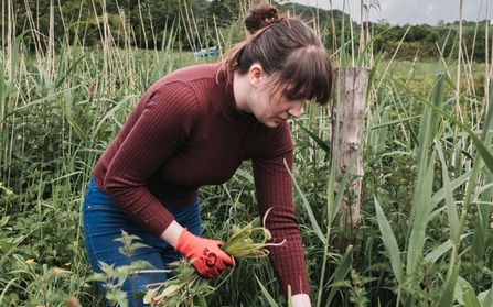 NOSY team member volunteering in nature, supporting environmental sustainability
