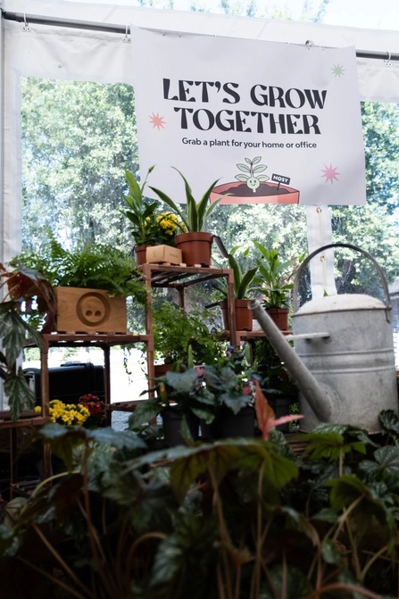 Close-up of NOSY’s vibrant plant display beneath the “Let’s Grow Together” sign