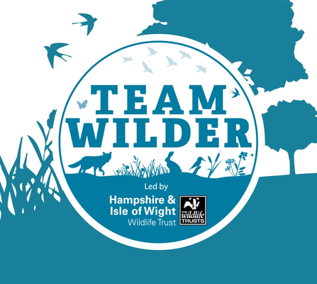 NOSY Wilder Business of the Year 2023 Nomination