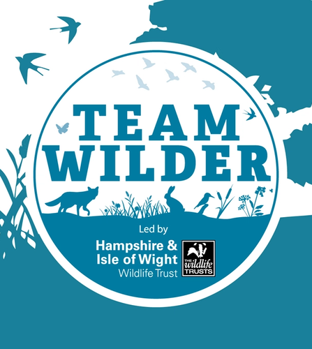 NOSY Wilder Business of the Year 2023 Nomination