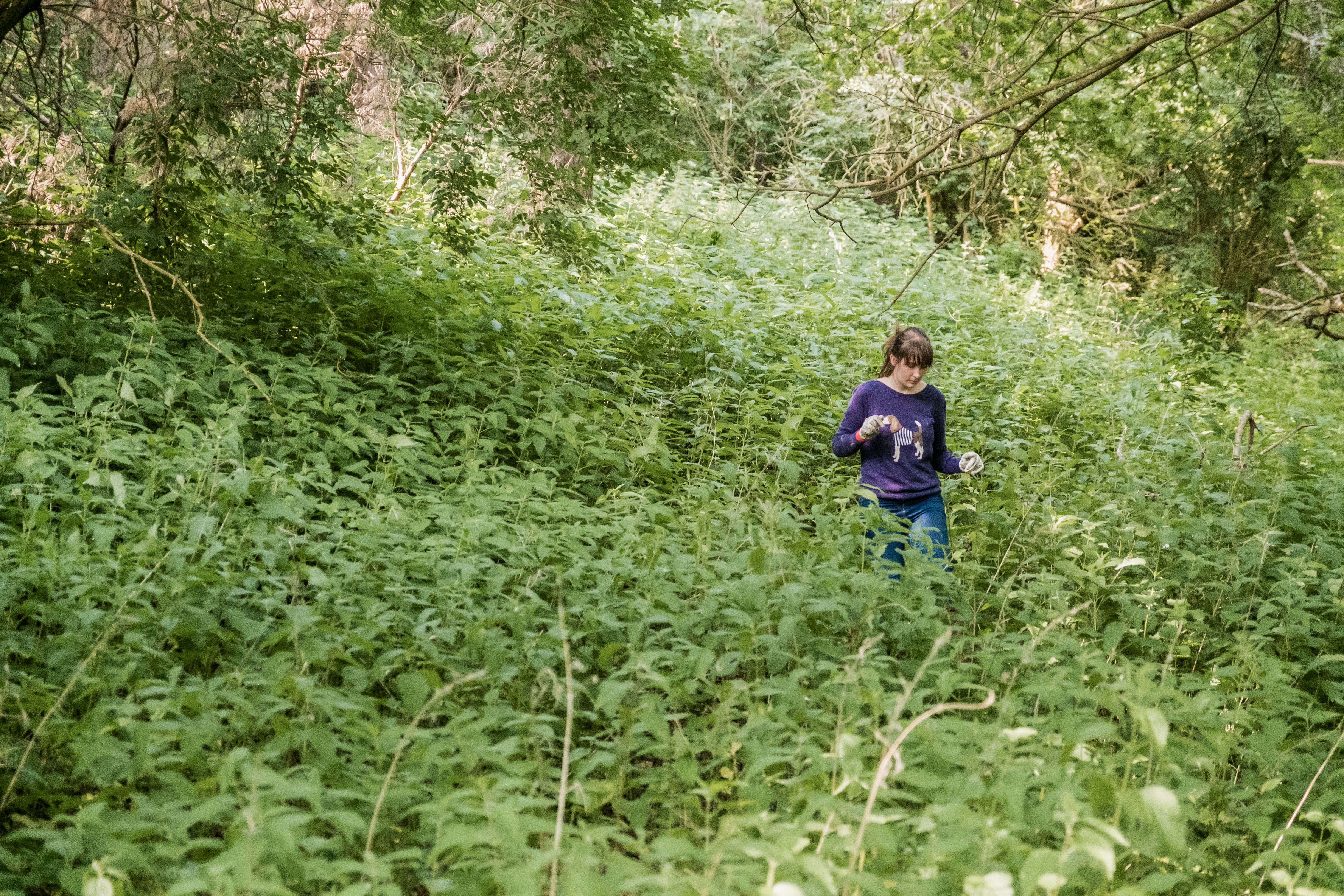 April scouting the woodland