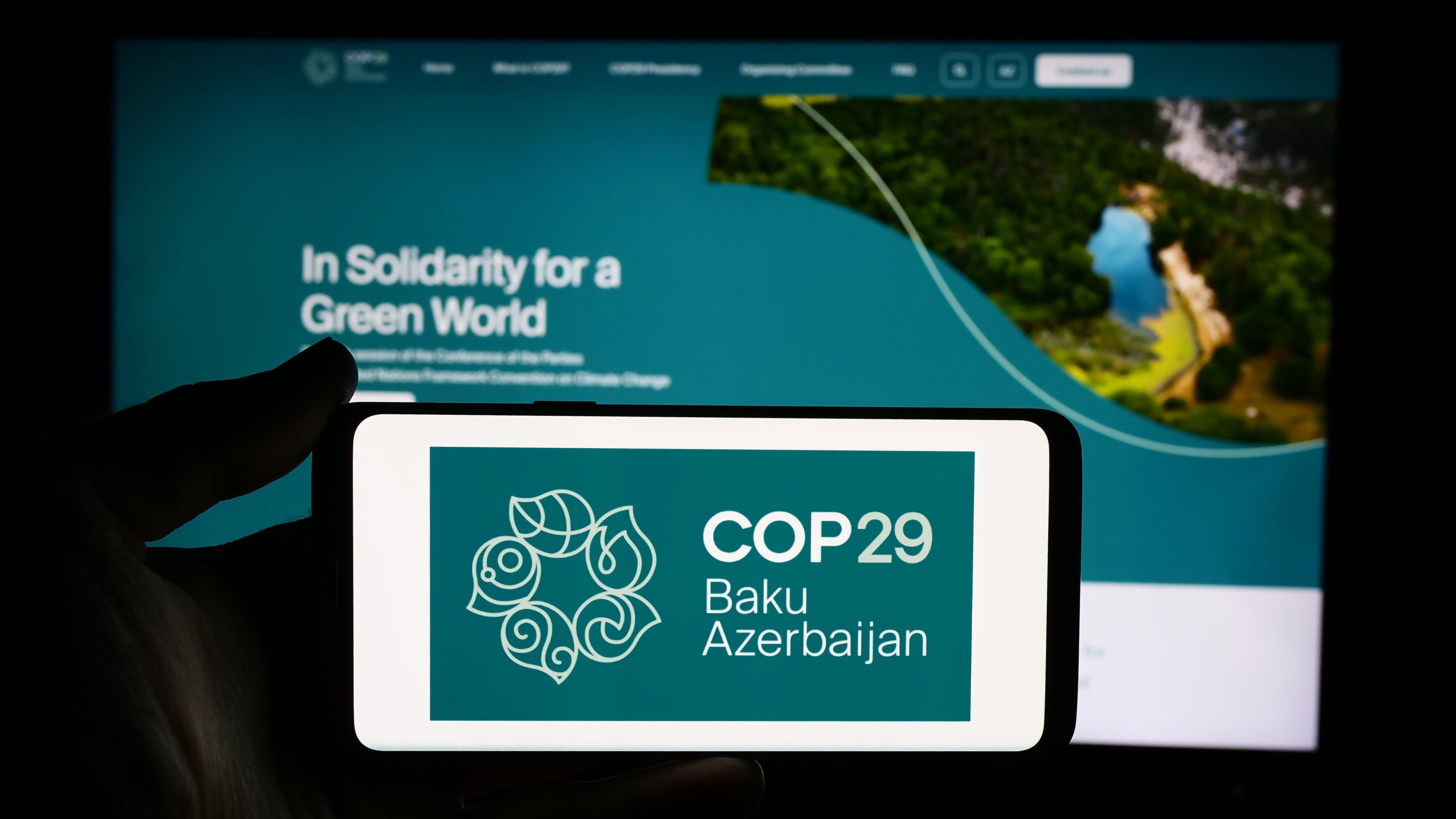 COP29 Website