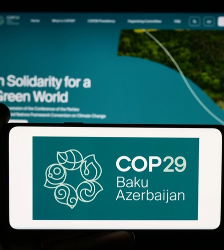 COP29 Website