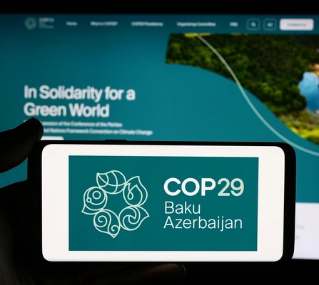 COP29 Website