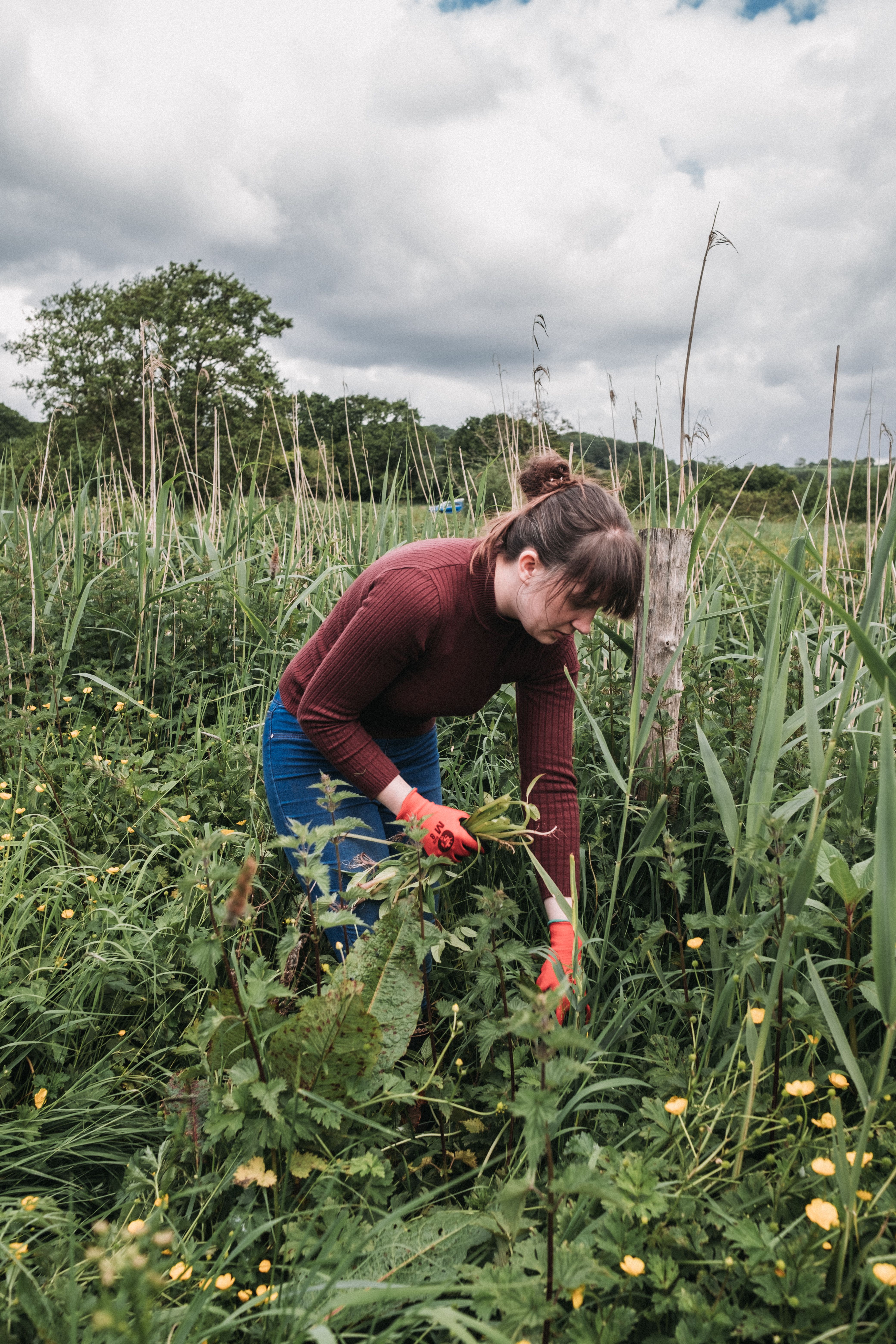 NOSY team member April taking part in Balsam pulling activity day