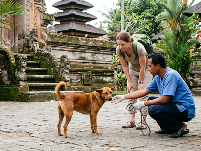 Is Bali a high risk area for rabies?