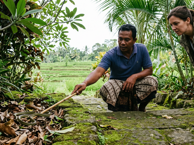How likely are you to encounter a snake in Bali?