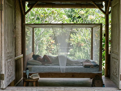 Sleeping Safely in Bali Protect Yourself from Snakes