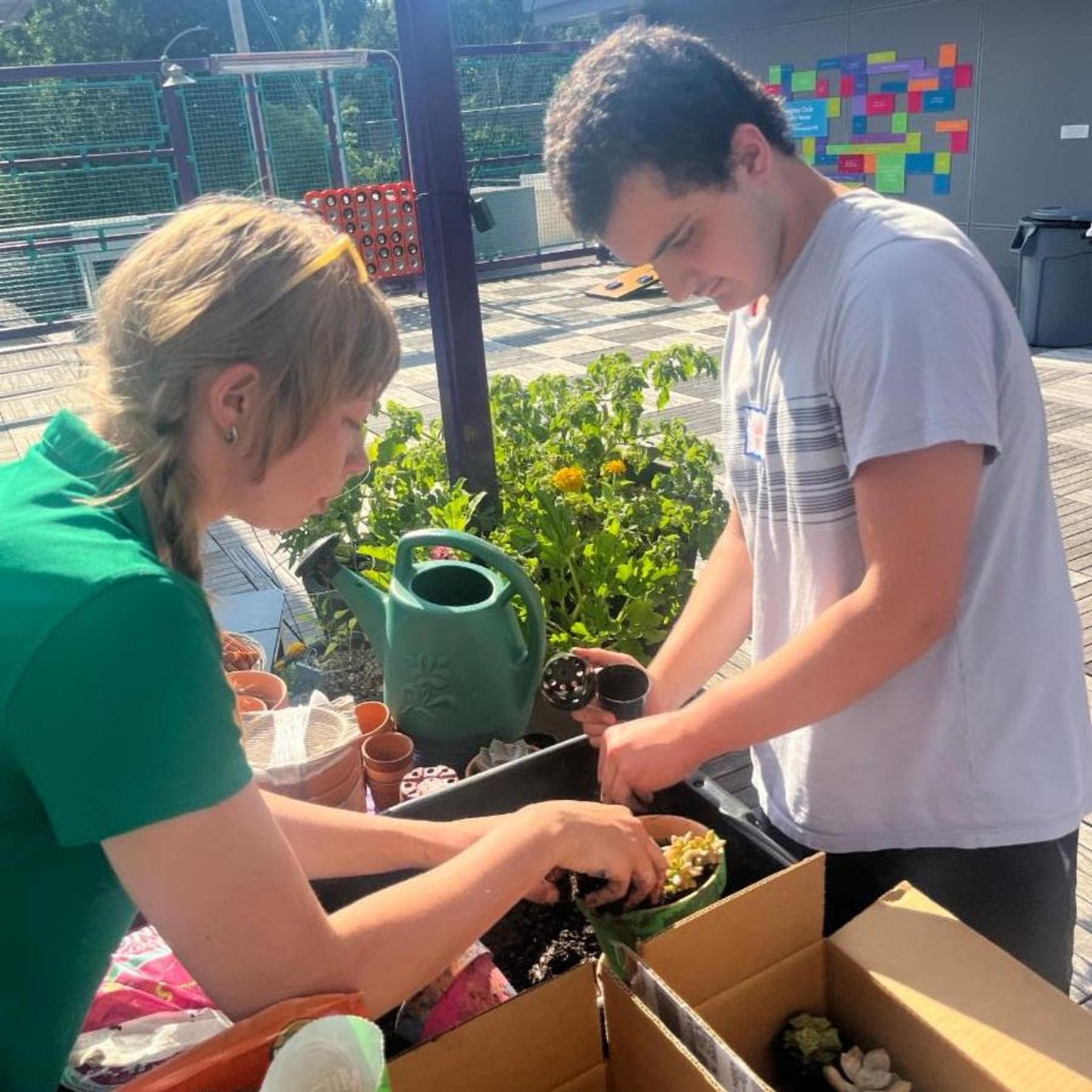 Two members prepare plants for The Friendship Circle's rooftop garden.
