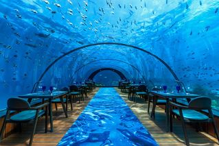 5.8 Underwater Restaurant at Hurawalhi Island Resort