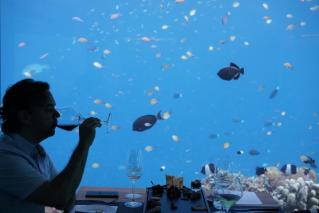 Wine Tasting at Sea Underwater Restaurant at Anantara Kihavah