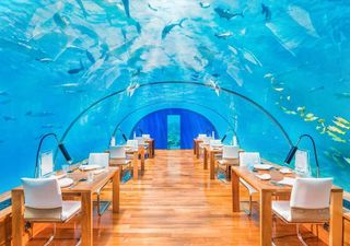 Ithaa Undersea Restaurant at Conrad Maldives