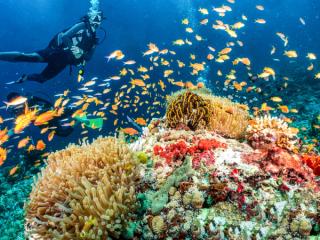 Vakkaru Scuba Diving