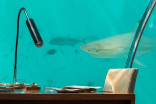 Ithaa Uundersea Rerstaurant at Conrad Maldives Rangali Island