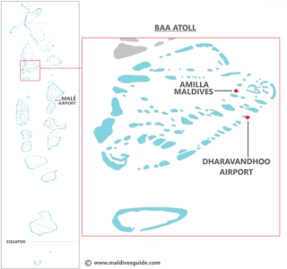 Amilla domestic transfer map