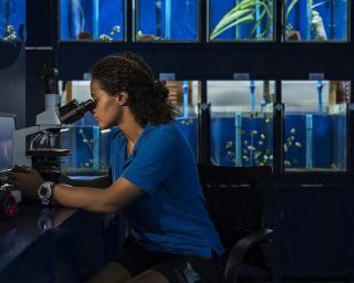 Four Seasons Landaa Giraavaru Marine Discovery Centre