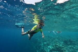 Anantara Kihavah Snorkelling