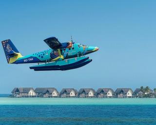 Four Seasons Landaa Giraavaru The Flying Triggerfish