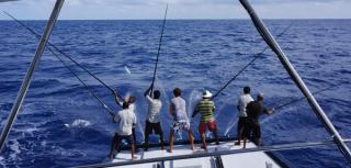 Big Game Fishing at Kuredu Island Resort - Lhaviyani Atoll