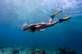 Bandos Maldives Snorkelling