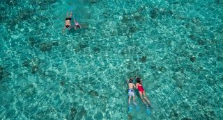 Naladhu Private Island Snorkelling