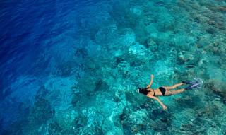 Dusit Thani Snorkelling