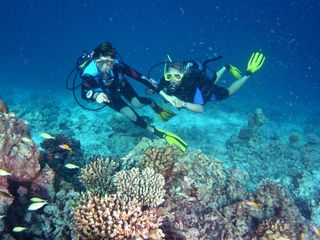 Canareef Resort Maldives Diving