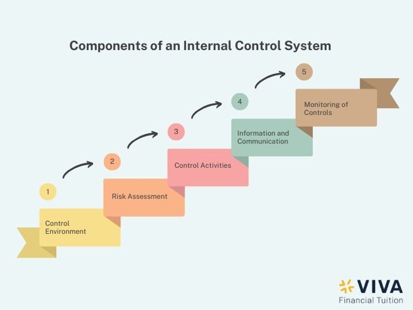 ACCA AA: Understanding the Difference Between Internal vs External Audit
