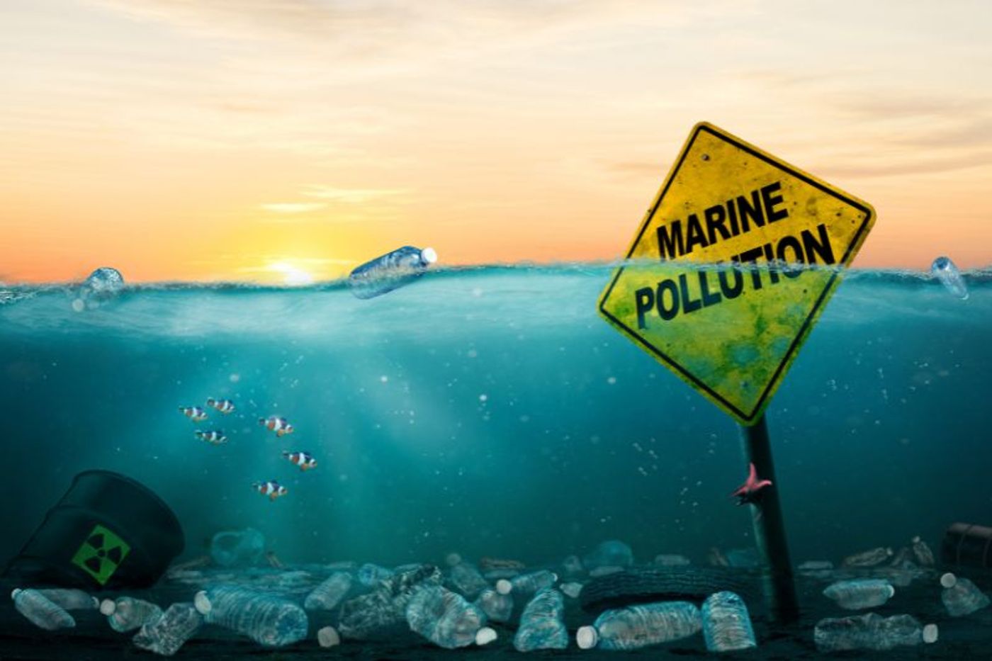 Image courtesy of Canva/GettyImages