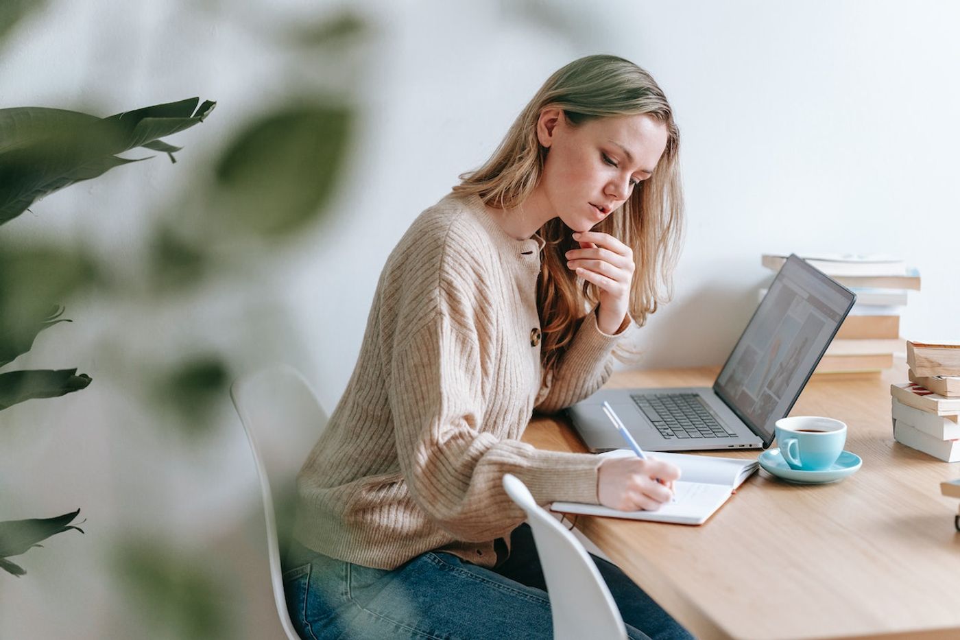 Image courtesy of Pexels