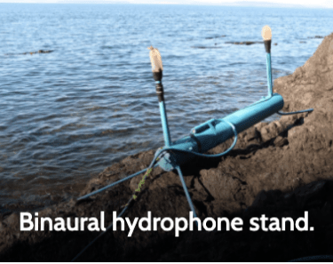 Binaural hydrophone stand.