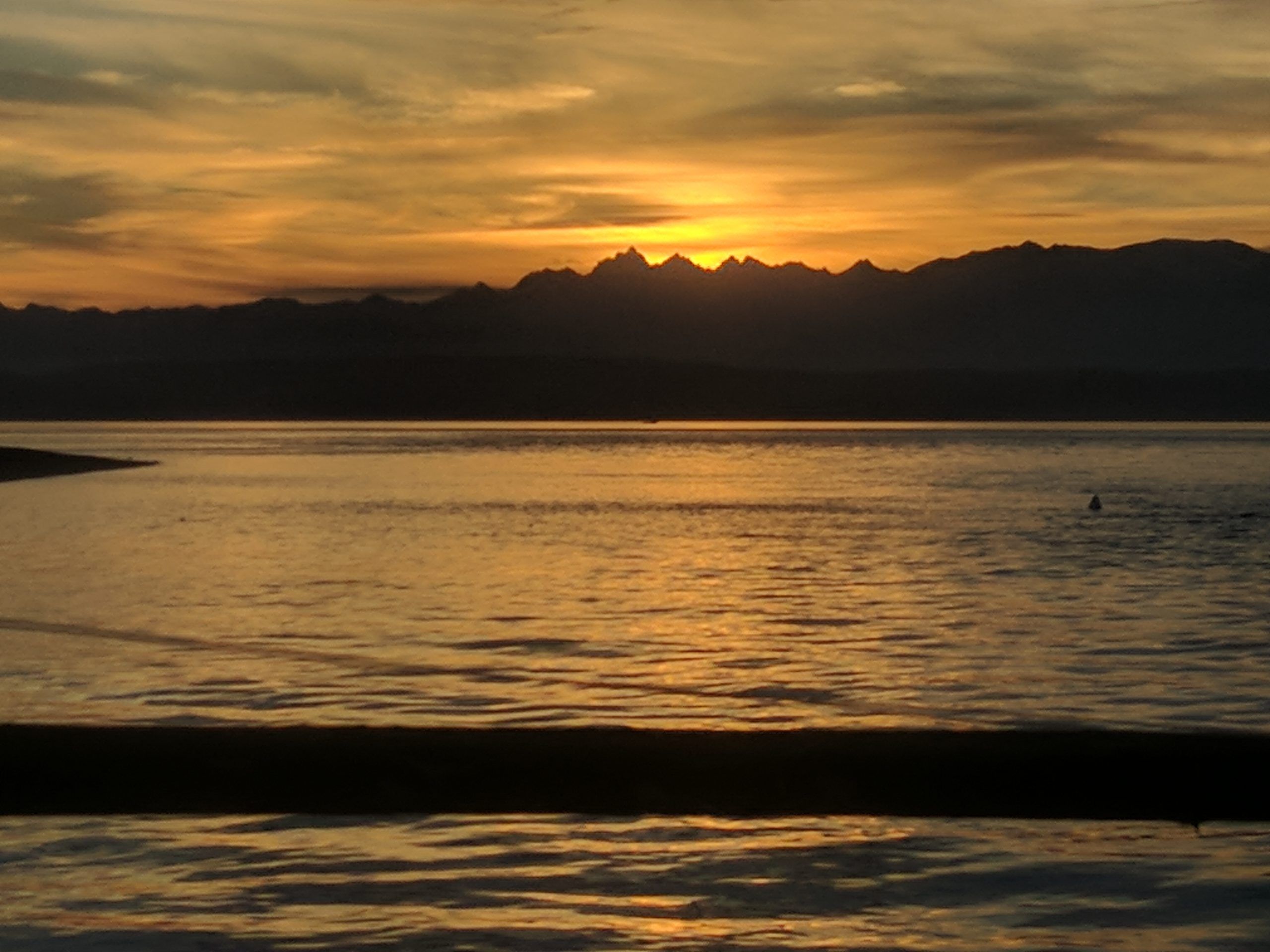 Listeners detect J pod’s fourth fall visit to Puget Sound