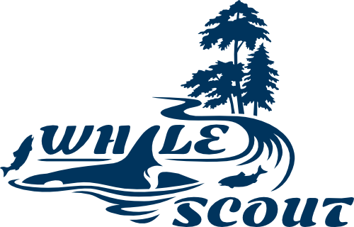 Whale Scout