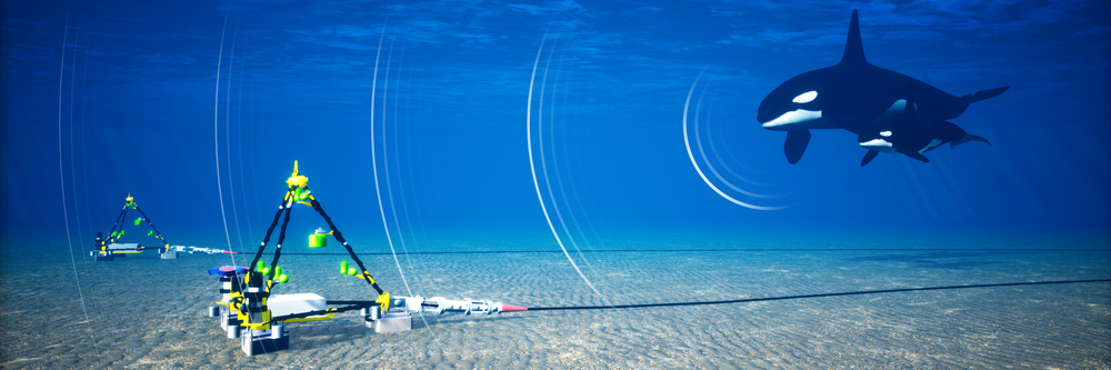 Making hydrophone data accessible