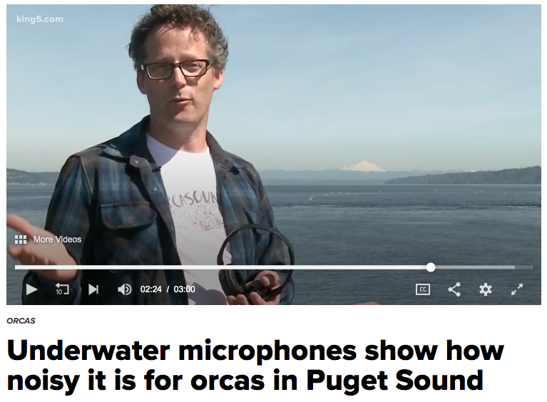 King5 story: Orcasound & ship noise