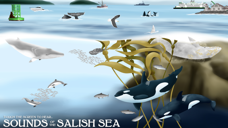 Sounds Of The Salish Sea