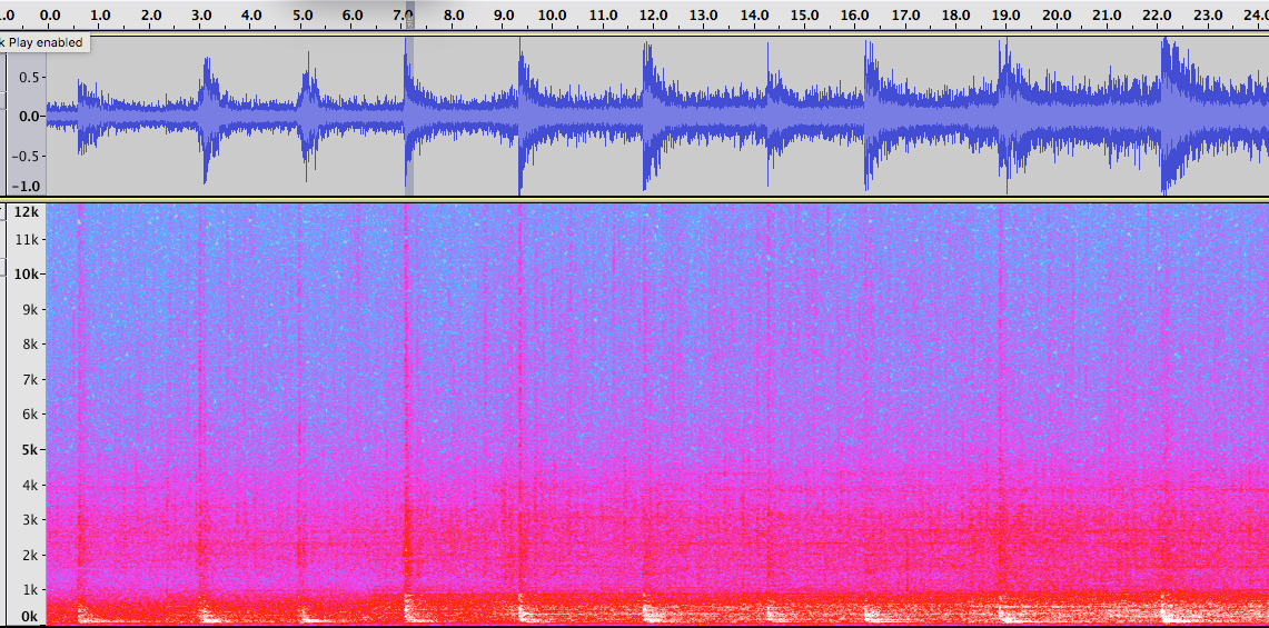 Sperm whale echolocation clicks heard 50 kilometers away within the Salish Sea?