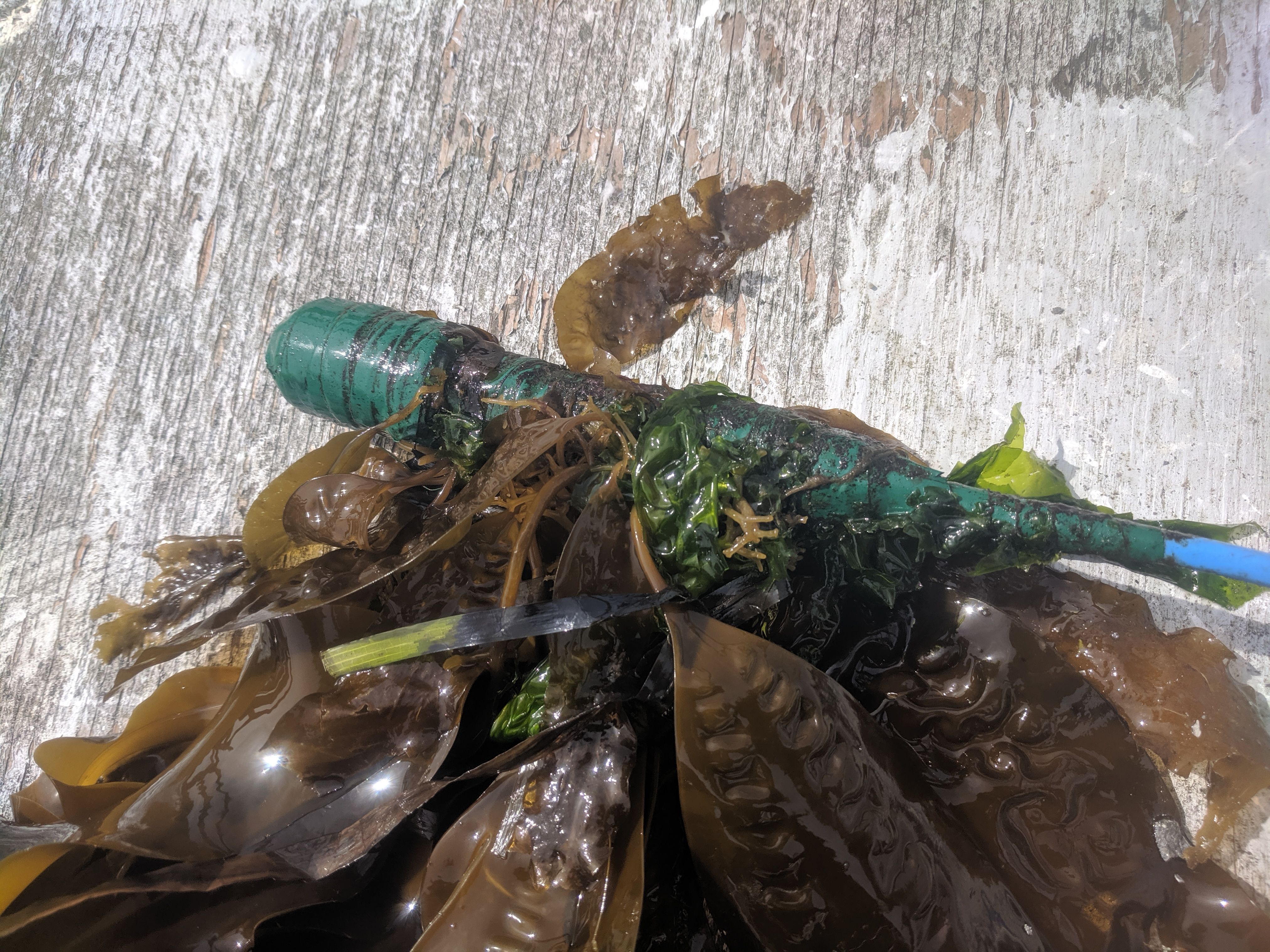 Quick tune-up for the Bush Point hydrophone
