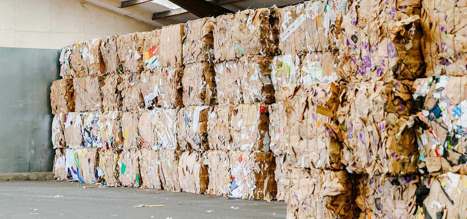 Baled cardboard stacked four high in a warehouse, the compressed bales showing mixed corrugated and printed board