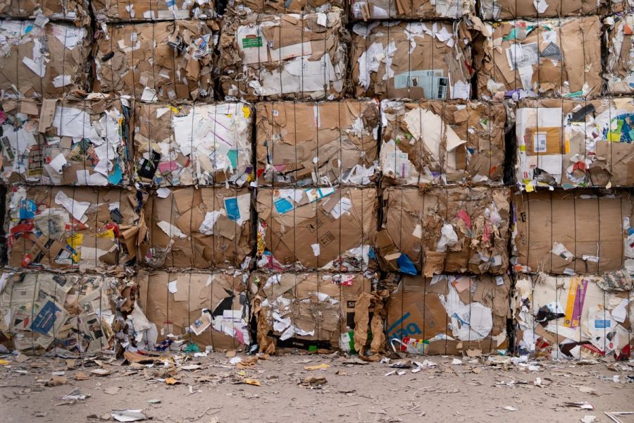 Baled cardboard ready for export