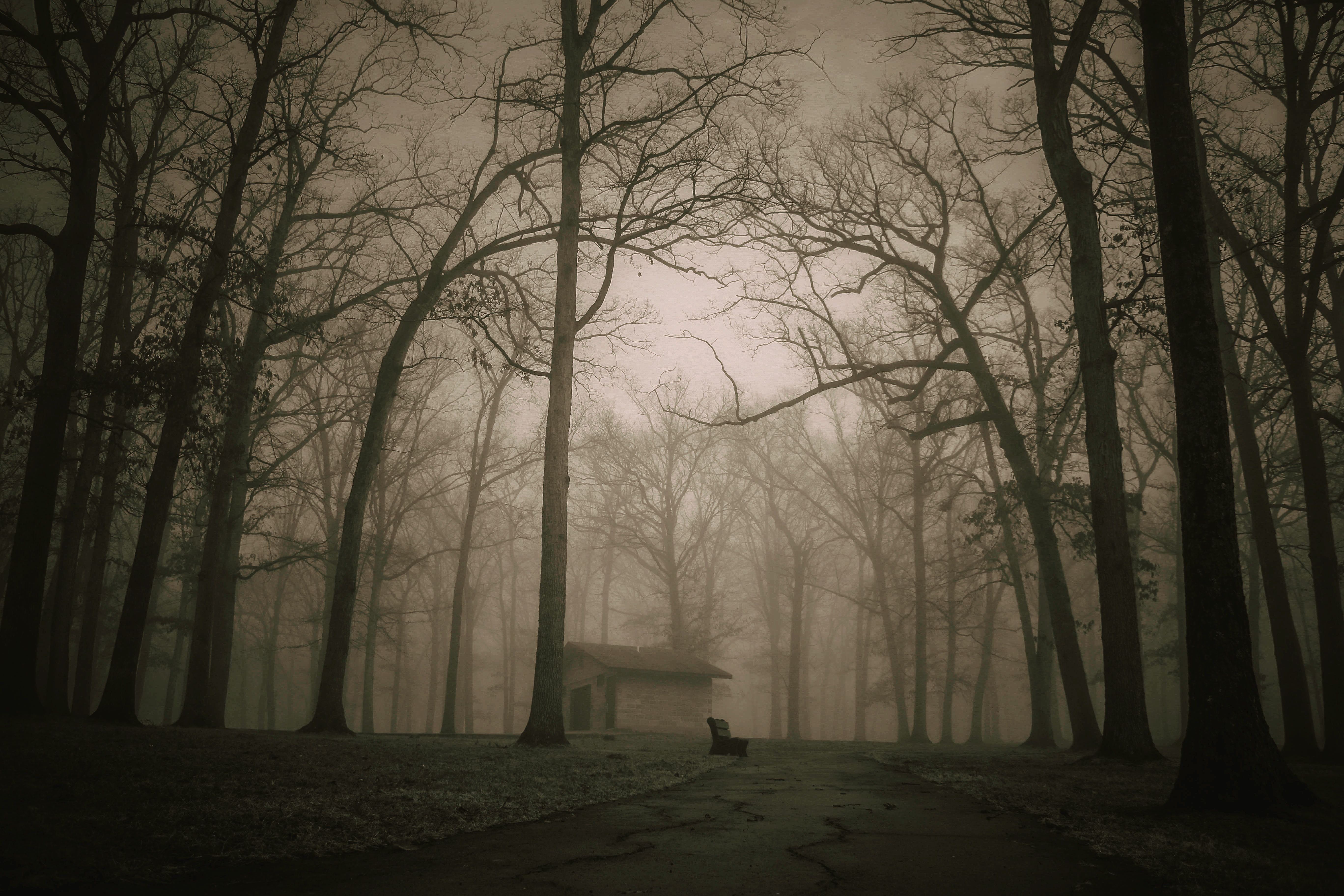 Haunt