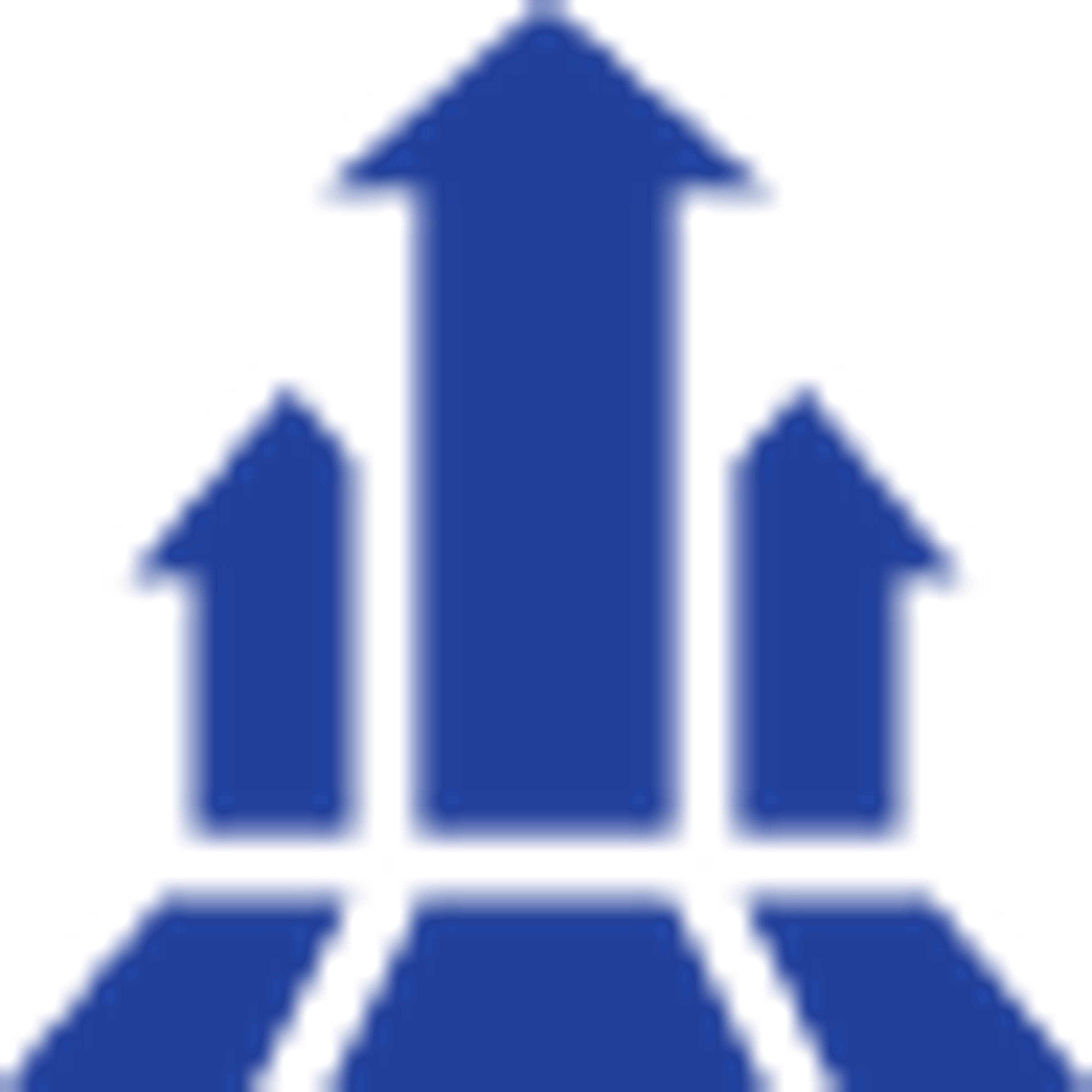 Business Diversification & Institutional Growth