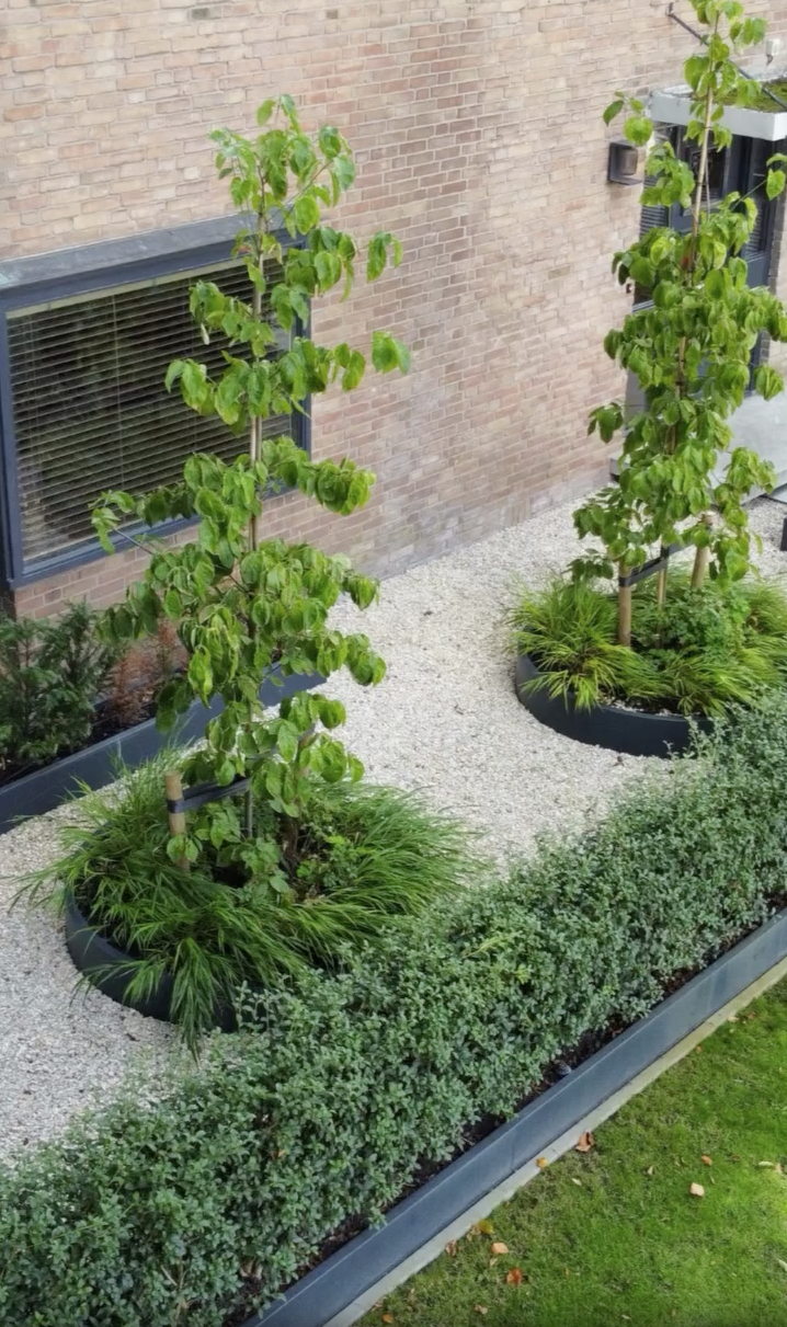 Japandi tuin