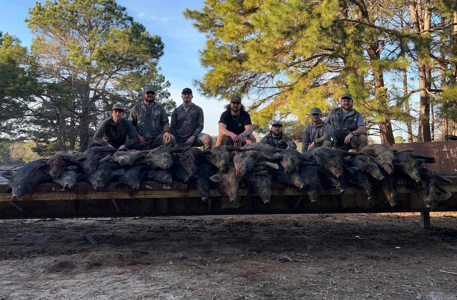 Group Hog Hunt Harvest at Boggy Creek Outfitters in Bivins, Texas