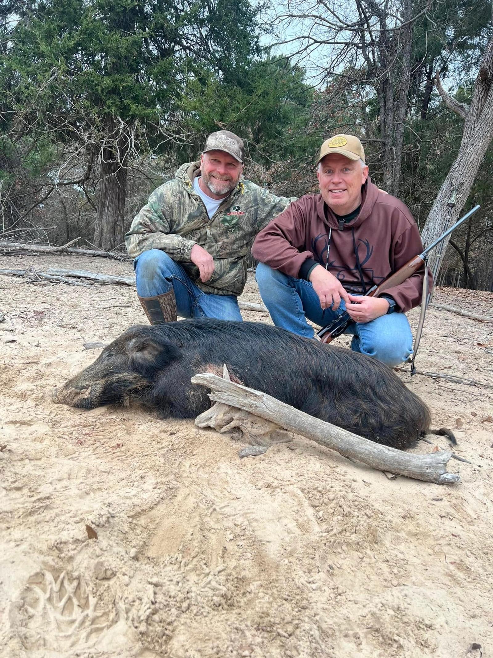 Hog Hunt Harvest at Boggy Creek Outfitters in Bivins, Texas