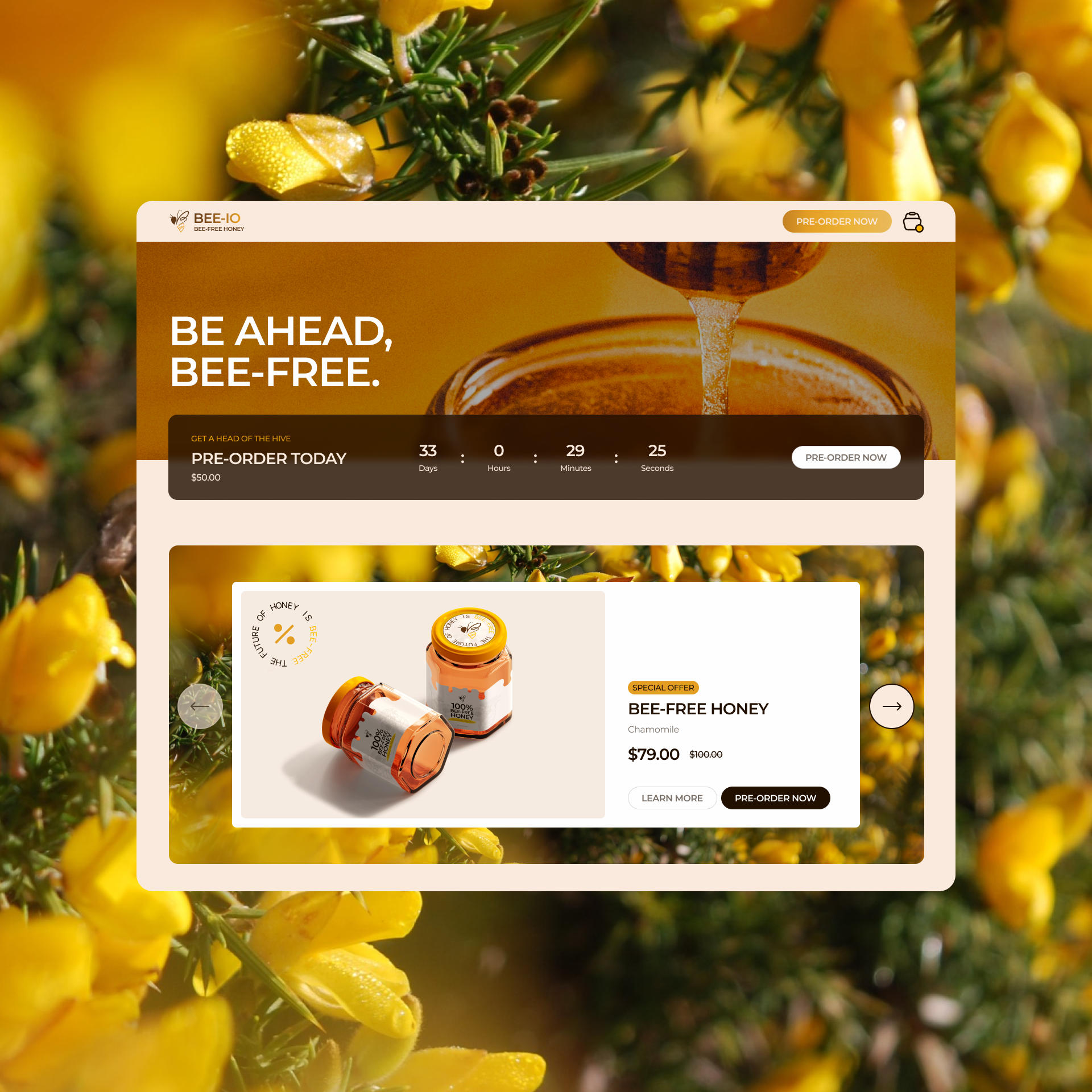 Bee-io pre-order page on desktop, with product details and a pre-order button.